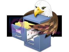 EagleFiler For Mac v1.8.4 专业的文件资源管理软件